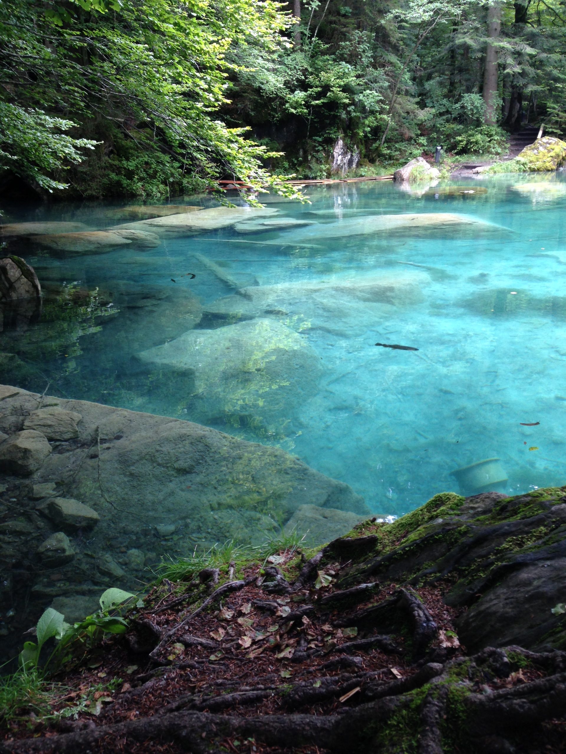 Blausee Switzerland